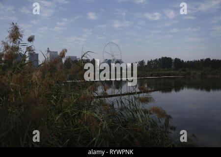 Riesenrad, Liaocheng City, Provinz Shandong, China. Stockfoto