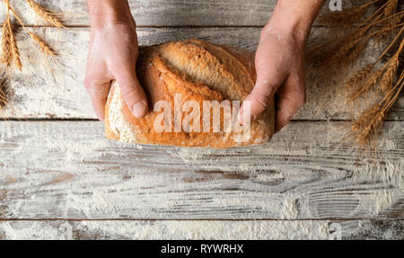 Des Menschen Hände halten einen Laib frisches hausgemachtes Brot über Holztisch mit Streuung Mehl und Ähren. Ansicht von oben. Natürliches Licht. Stockfoto