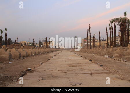 Straße der Sphinxen in der Nähe von Sunset, Tempel von Luxor, Luxor, Oberägypten. Stockfoto