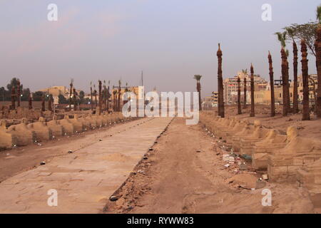 Straße der Sphinxen in der Nähe von Sunset, Tempel von Luxor, Luxor, Oberägypten. Stockfoto