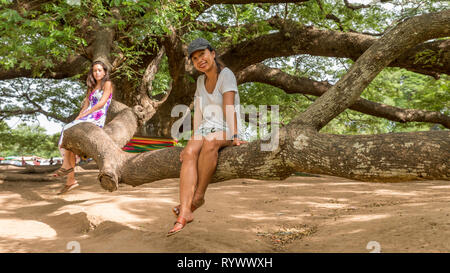 Mutter und Tochter sittiing auf Zweig der riesigen Monkeypod Baum in Kanchanburi Thailand Stockfoto