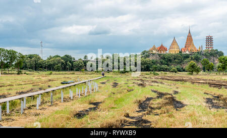 Reisfeld mit Holzsteg mit Wat Tham Suea im Hintergrund Stockfoto