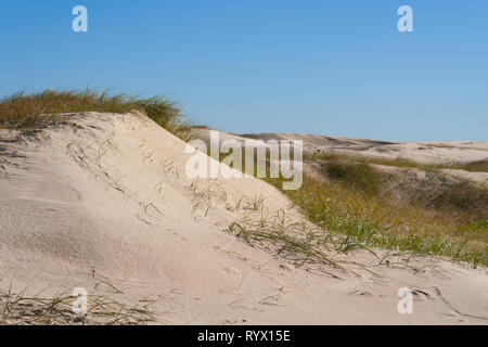Grasbewachsenen Düne Stockfoto