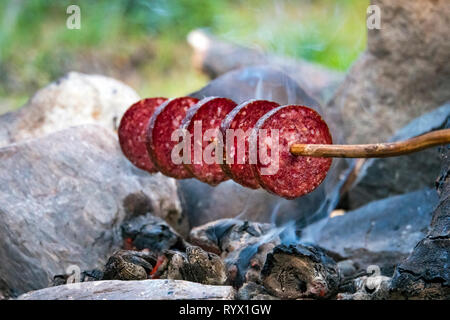 Gebratene geräucherte Würstchen über dem Feuer. Wurst. Würstchen aufgespiesst auf einem Stock. Schnelle Abendessen Camping im Grünen. kleinen Lagerfeuer. Grillen saus Stockfoto