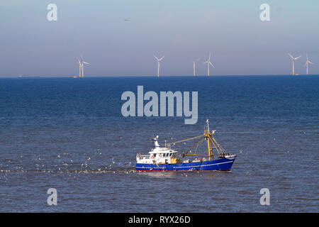 Eine blaue Cutter mit einem Schwarm Möwen an der Nordsee in der Sonne mit Windgeneratoren im Hintergrund Stockfoto