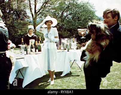 HARROW, ward, alle Kreaturen, die großen und die kleinen, 1975 Stockfoto