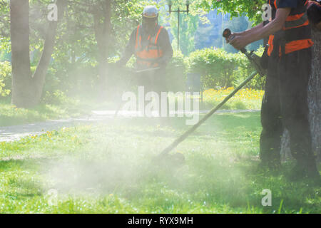 Professionelle Rasen mähen Service im Park. Zwei Männer arbeiten mit Freischneider. Staub und gelber Löwenzahn von Nylon String geworfen Stockfoto