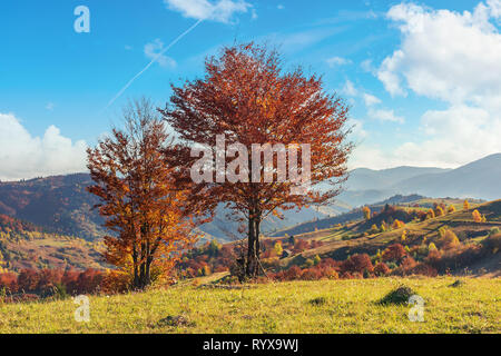 Herbst Landschaft in den Bergen. Bäume in Rot Laub auf den Rand einer Mill. ländlichen Felder auf der nächsten Hügel. ridge in der Ferne. beau Stockfoto