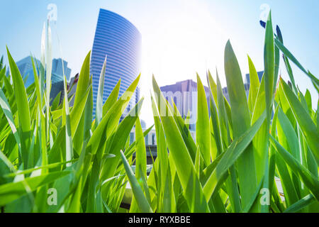 Low Angle View von La Defense Business District Türme durch grüne Gras gegen den blauen Himmel, Paris, Frankreich Stockfoto
