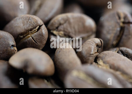Nahaufnahme von einem Haufen von Kaffeebohnen Stockfoto