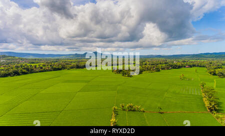 Fegen vista der spektakulären Landschaft mit dramatischen Wolken und Himmel. Fruchtbare Rohreis Felder mit lebendigen Farben. Stockfoto
