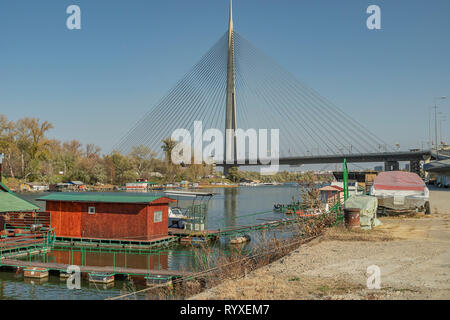 Belgrad - Blick auf die Ada Brücke Brücke über den Fluss Sava, Belgrad, Serbien, 08.11.2018 Stockfoto