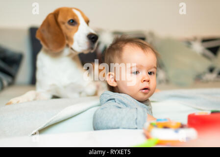 Baby mit einem Beagle Hund im Haus. Familienfreundlich Hund im Haus. Hund auf Sofa im Hintergrund und Baby suchen in Richtung Kamera. Stockfoto