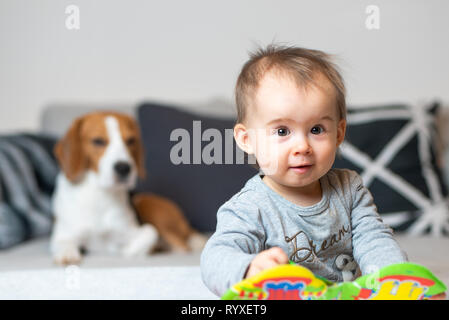 Baby mit einem Beagle Hund im Haus. Familienfreundlich Hund im Haus. Hund auf Sofa im Hintergrund und Baby suchen in Richtung Kamera. Stockfoto