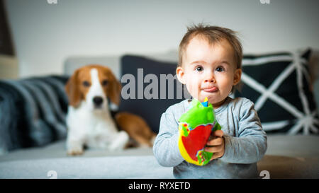 Baby mit einem Beagle Hund im Haus. Familienfreundlich Hund im Haus. Hund auf Sofa im Hintergrund und Baby suchen in Richtung Kamera. Stockfoto