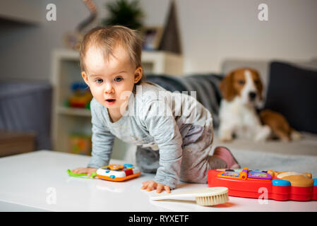 Baby mit einem Beagle Hund im Haus. Familienfreundlich Hund im Haus. Hund auf Sofa im Hintergrund, Baby auf einem Tisch Stockfoto