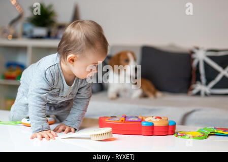 Baby mit einem Beagle Hund im Haus. Familienfreundlich Hund im Haus. Hund auf Sofa im Hintergrund, Baby auf einem Tisch Stockfoto