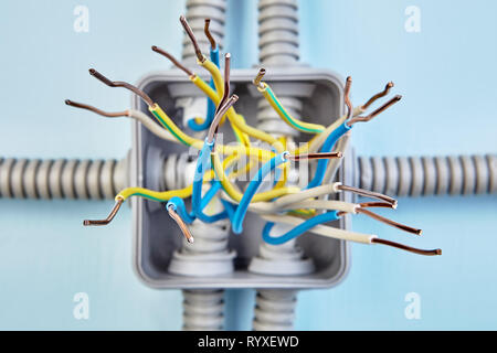 Diagramm der Kupferdrähte der Anschlussdose, freiliegende Kabel enden, in der Nähe auf. Stockfoto