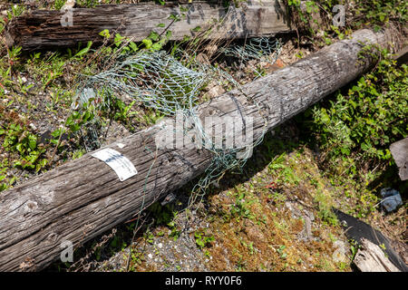 Alte ausgediente sand Steinbruch in Doncaster, South Yorkshire. Stockfoto