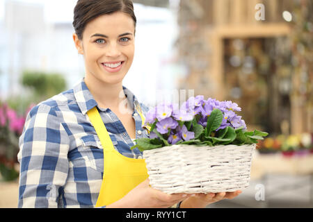 Lächelnd floristin Frau mit Weidenkorb voller Violett primrose Blumen, Frühling Konzept Stockfoto