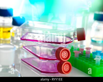 Kolben mit Stammzellen, kultiviert in rot Nährmedium im Labor. Stockfoto