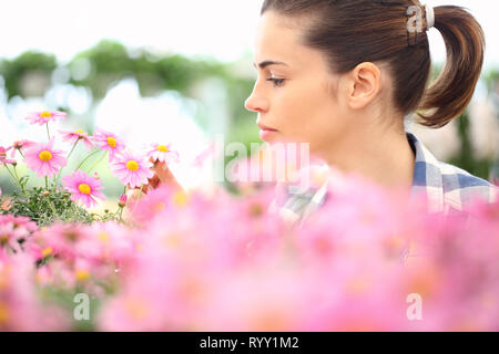 Feder Konzept, Frau im Garten Gänseblümchen Blumen, in der Nähe Stockfoto