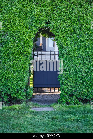 Pfad durch Hecke, die zum Haus Eingang über das Tor. Stockfoto