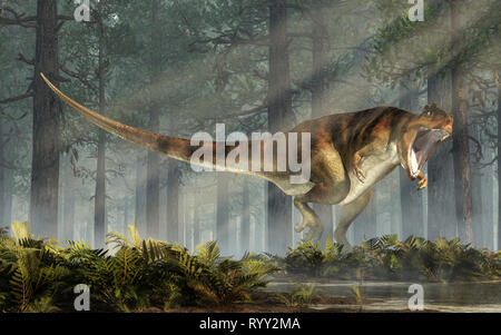 Giganotosaurus, der Zähne, ist eine der größten bekannten terrestrische Raubtiere, eine carcharodontosaurid Theropode Saurier, in einem Wald. Stockfoto