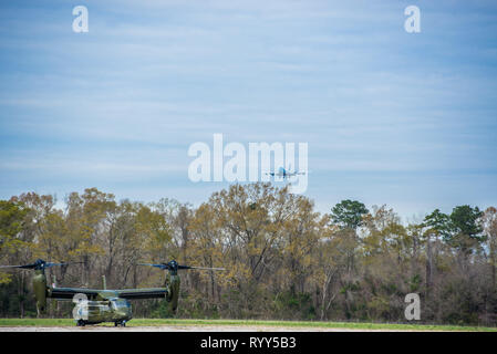 FORT Benning, Ga-Präsident Donald J. Trumpf und die erste Dame Melania Trump landete auf Lawson Army Airfield 8. März in Air Force One vor dem Fliegen in Marine One, Lee County, Alabama, wo am 3. Maerz Stürme und Tornados 23 Menschen getötet und verursacht erhebliche Schäden. Vor der Abreise nach Alabama, der Präsident traf mit Generalmajor Gary M. Brito, die Manöver Kompetenzzentrum und Fort Benning kommandierenden General und Gouverneur mit Georgien Brian Kemp auf dem Flugplatz flightline. (U.S. Armee Foto von Patrick Albright, Manöver, Center of Excellence, Fort Benning Public Affairs) Stockfoto