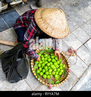 Obst Anbieter. Street Scene von Altstadt in Hanoi, Vietnam. Stockfoto