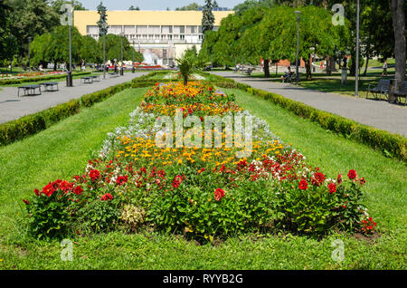 Üppige Blumen unterschiedlicher Art in einem öffentlichen Park - Vrnjacka Banja, Serbien Stockfoto