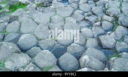 Basaltsäulen von Felsen in Giants Causeway diese Felsen spalten geglaubt werden von den großen Vulkanausbruch zu sein Stockfoto