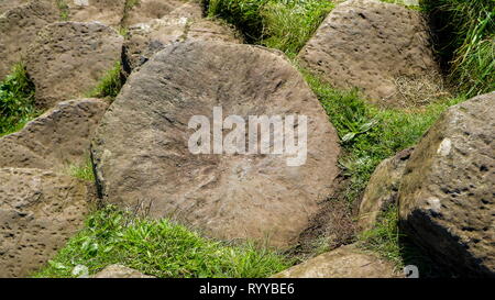 Grossen runden Felsen auf den Boden mit grünen Gräser in der Giants Causeway Gegend in Nordirland gefunden Stockfoto