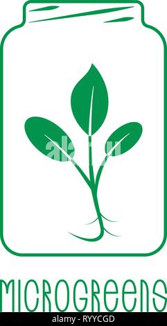 Microgreens Logo. Anlage in einem Glas. Saatgut und Leben microgreens packaging design Stock Vektor