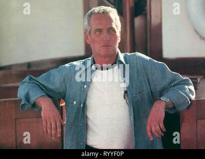 PAUL NEWMAN, Fehlen von Bosheit, 1981 Stockfoto