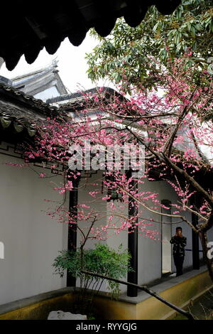 Garten in Zhong Wang Fu Herrenhaus aka Prinz Zhong's Residence. Suzhou. In der Provinz Jiangsu. China Stockfoto