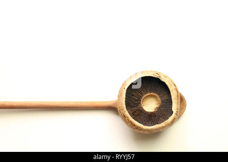 Frische rohe Portobello Pilze auf einem Löffel aus Holz, auf weißem Hintergrund Stockfoto