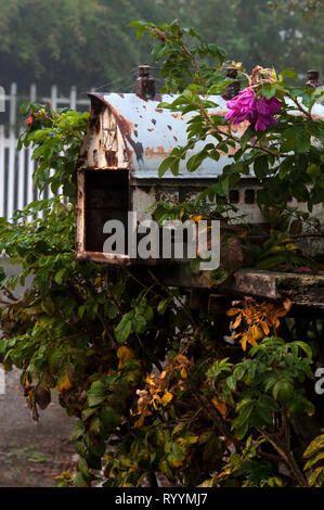 Sonnenaufgang mit alten rostigen Mailbox entlang der Landstraße und weißen Lattenzaun. Stockfoto