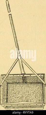 Grundlegende Lektionen auf Insekten (1928) grundlegende Lektionen auf Insekten. elementarylesson 00 müssen Jahr: 1928 Abb. 62.- ein Sieb net. Abb. 63.-- Ein Heber. Stockfoto