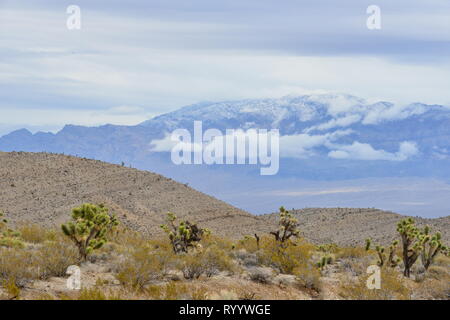 Verschiedene Landschaften in der Mojave-wüste, Nevada Stockfoto