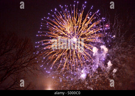 Feuerwerk erleuchten den Himmel über Prospect Park in Brooklyn, New York, das neue Jahr zu feiern. Stockfoto