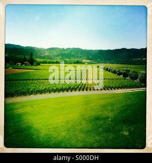 Opus einen Weinberg, Napa Valley, California Stockfoto