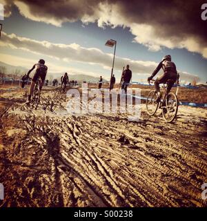 Schlammigen Cyclocross-Rennen Stockfoto