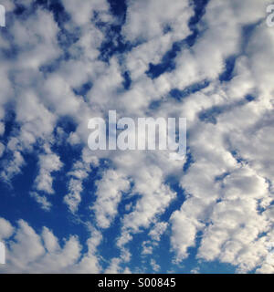 Makrele-Wolken Stockfoto