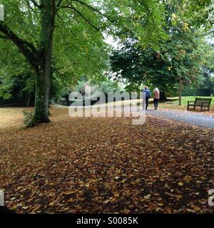 Herbst-Szene im Cockington Village in Torquay, englische Riviera (Torbay), Vereinigtes Königreich. Stockfoto