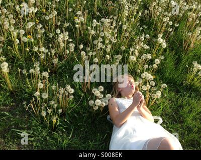 Eine Mädchen in einem Feld von Löwenzahn bläst die Samen in die Luft. Stockfoto