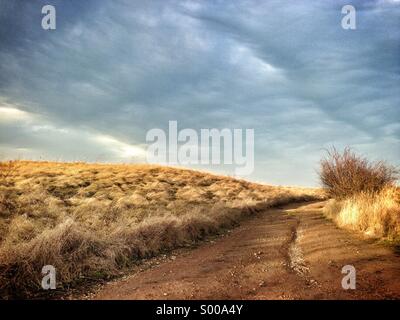 Eine Schmutz-Trail führt durch ein Feld Stockfoto