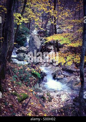 Ein Fluss mit einigen kleinen Wasserfällen in einem Wald im Herbst mit bunten Bäumen Stockfoto