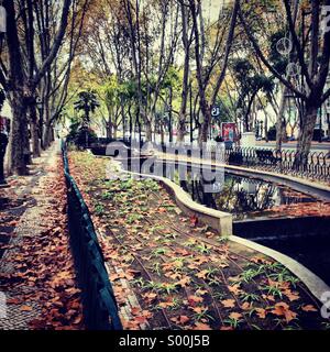 Bäume-Garten in der Mitte des Liberty Avenue (Avenida da Liberdade), Lissabon, Portugal Stockfoto