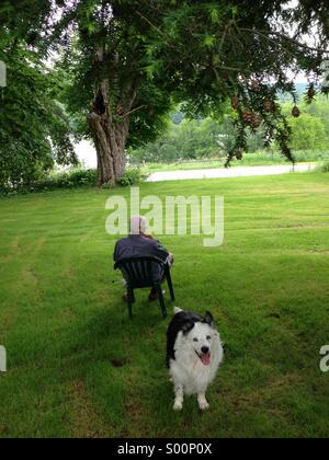 86 Jahre alter Mann und sein Hund Border Collie. Stockfoto